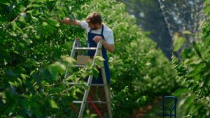 Agriculture & Animal Nutrition